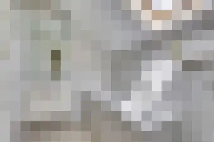 Veerse Meerdreef 20 Kortgene thumbnail 24