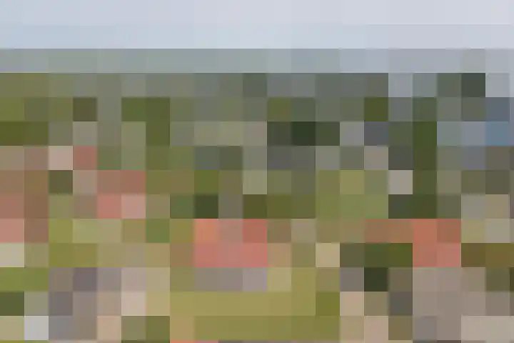 Veerse Meerdreef 20 Kortgene thumbnail 30