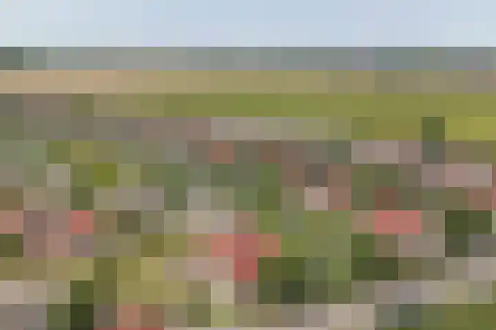 Veerse Meerdreef 20 Kortgene thumbnail 31