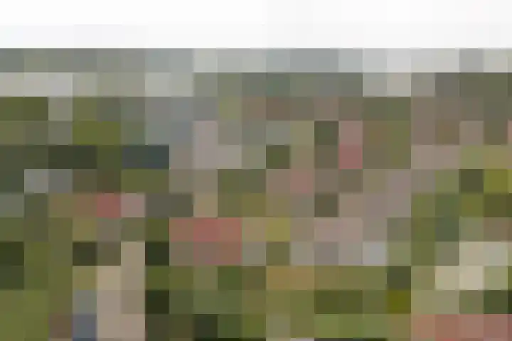Veerse Meerdreef 20 Kortgene thumbnail 32