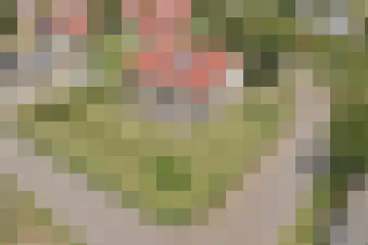 Veerse Meerdreef 20 Kortgene thumbnail 34