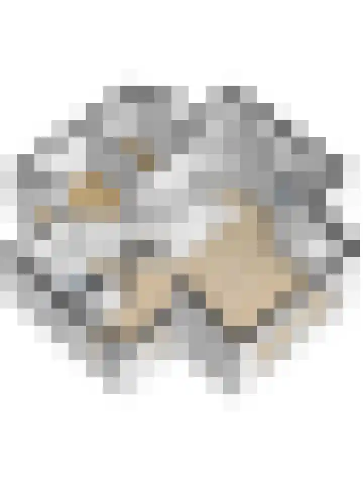 Veerse Meerdreef 20 Kortgene thumbnail 37