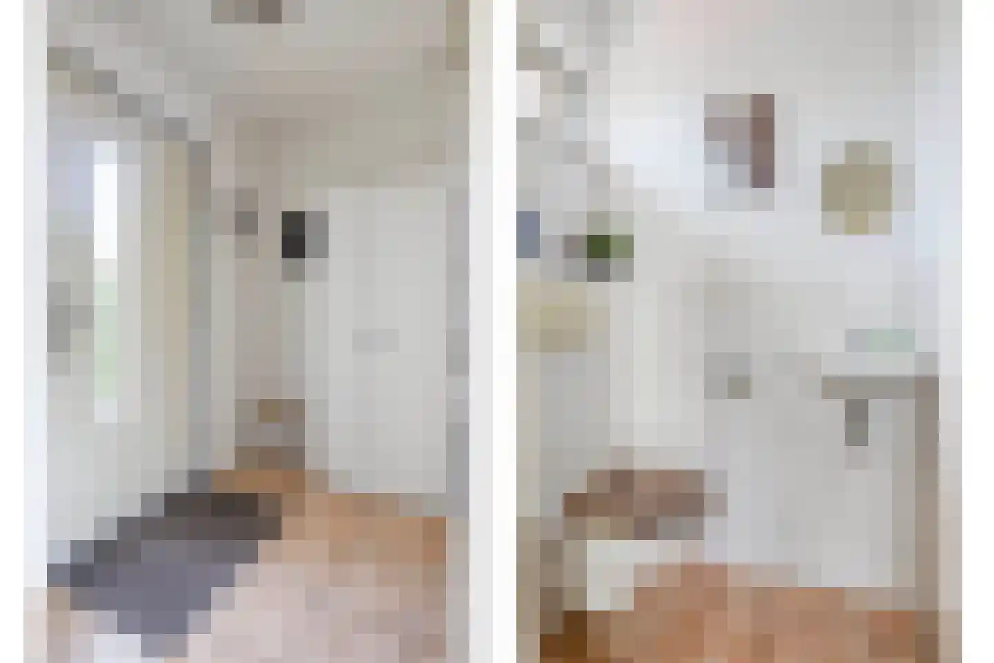 Veerse Meerdreef 22 Kortgene thumbnail 4