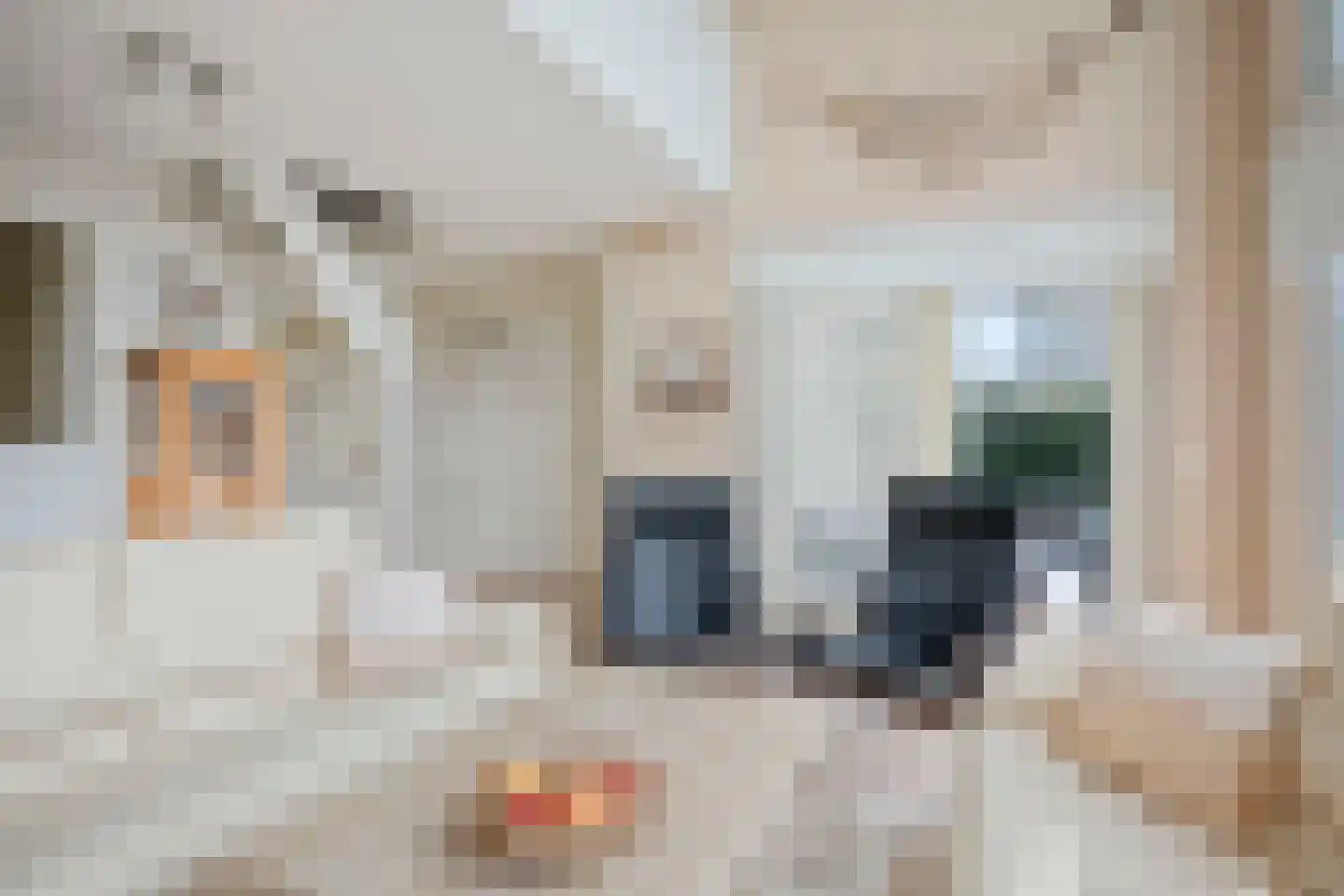 Veerse Meerdreef 22 Kortgene thumbnail 5