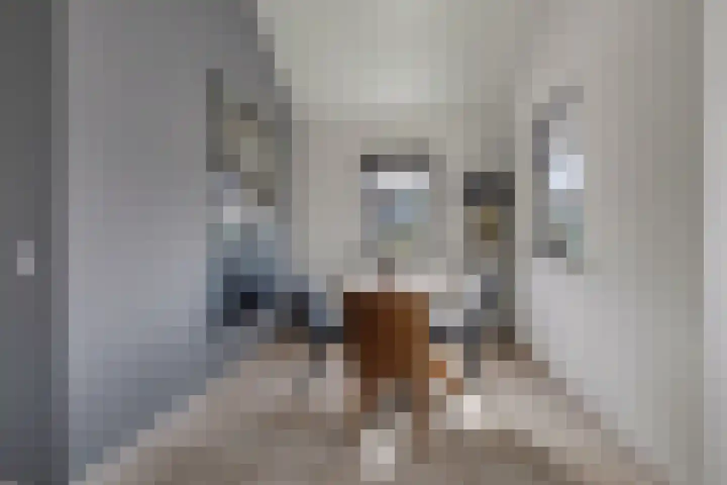 Veerse Meerdreef 46 Kortgene thumbnail 13