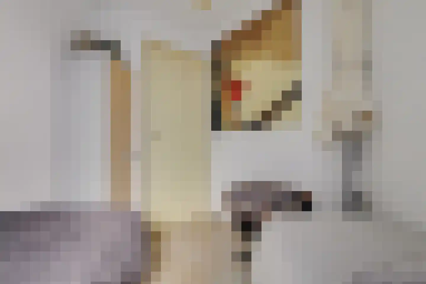 Veerse Meerdreef 46 Kortgene thumbnail 26
