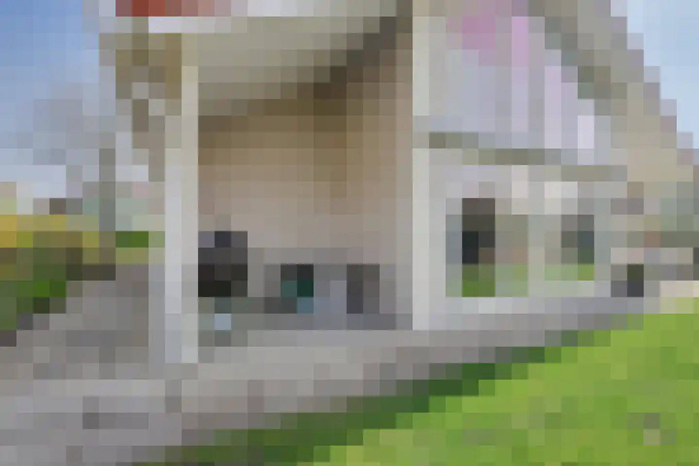 Veerse Meerdreef 46 Kortgene thumbnail 37