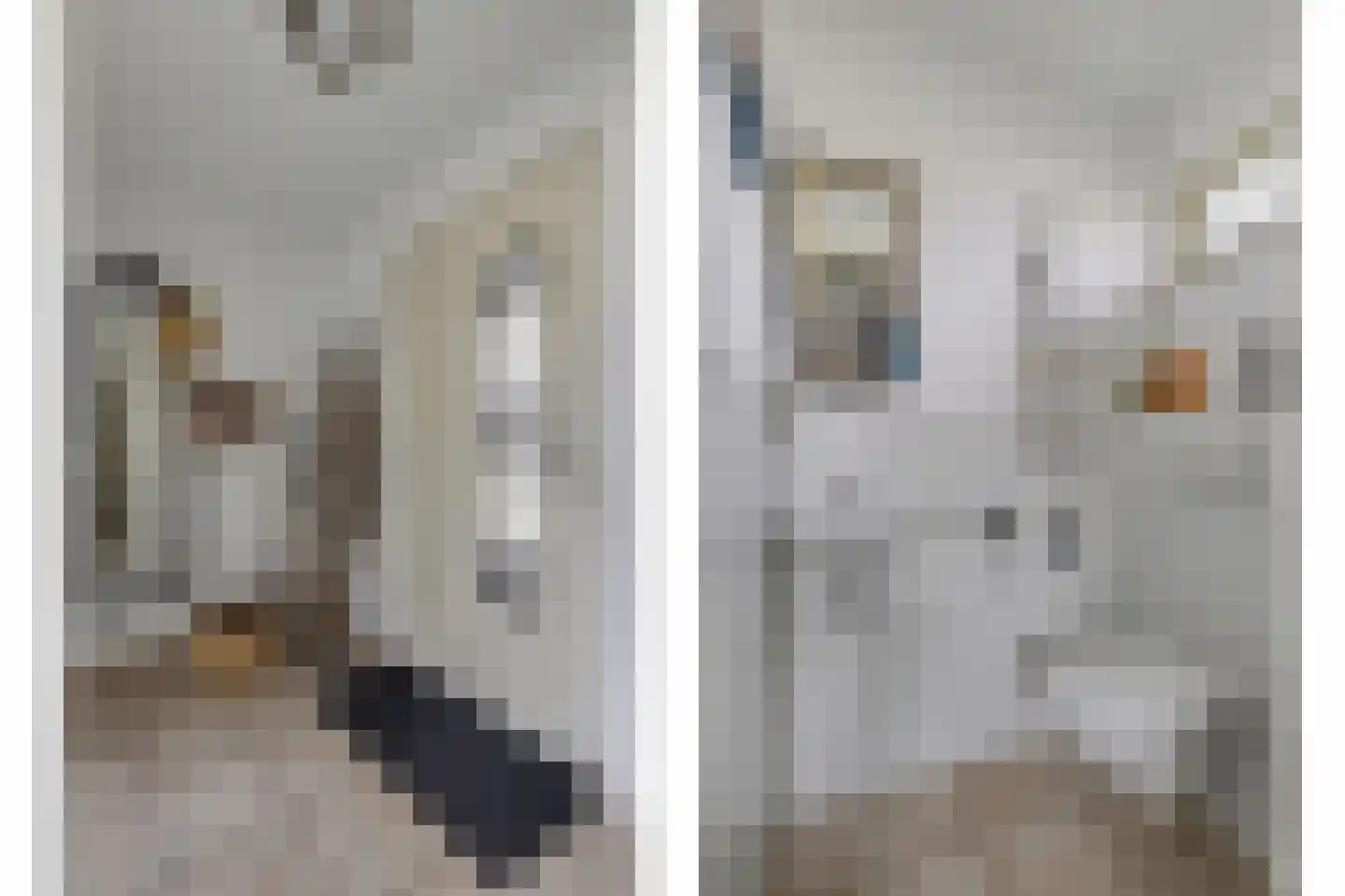 Veerse Meerdreef 46 Kortgene thumbnail 5