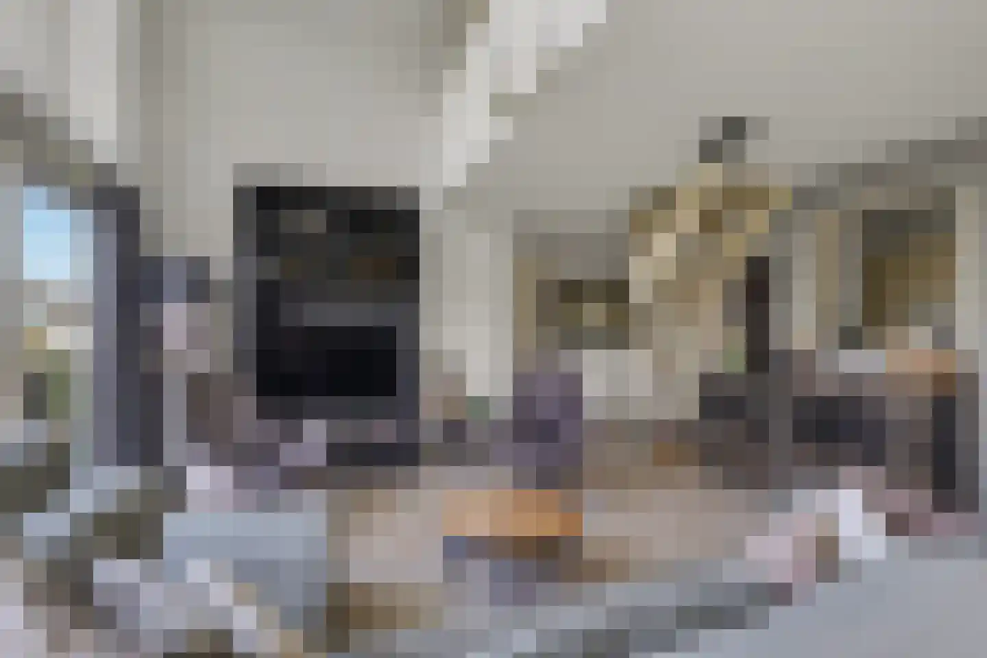 Veerse Meerdreef 46 Kortgene thumbnail 9