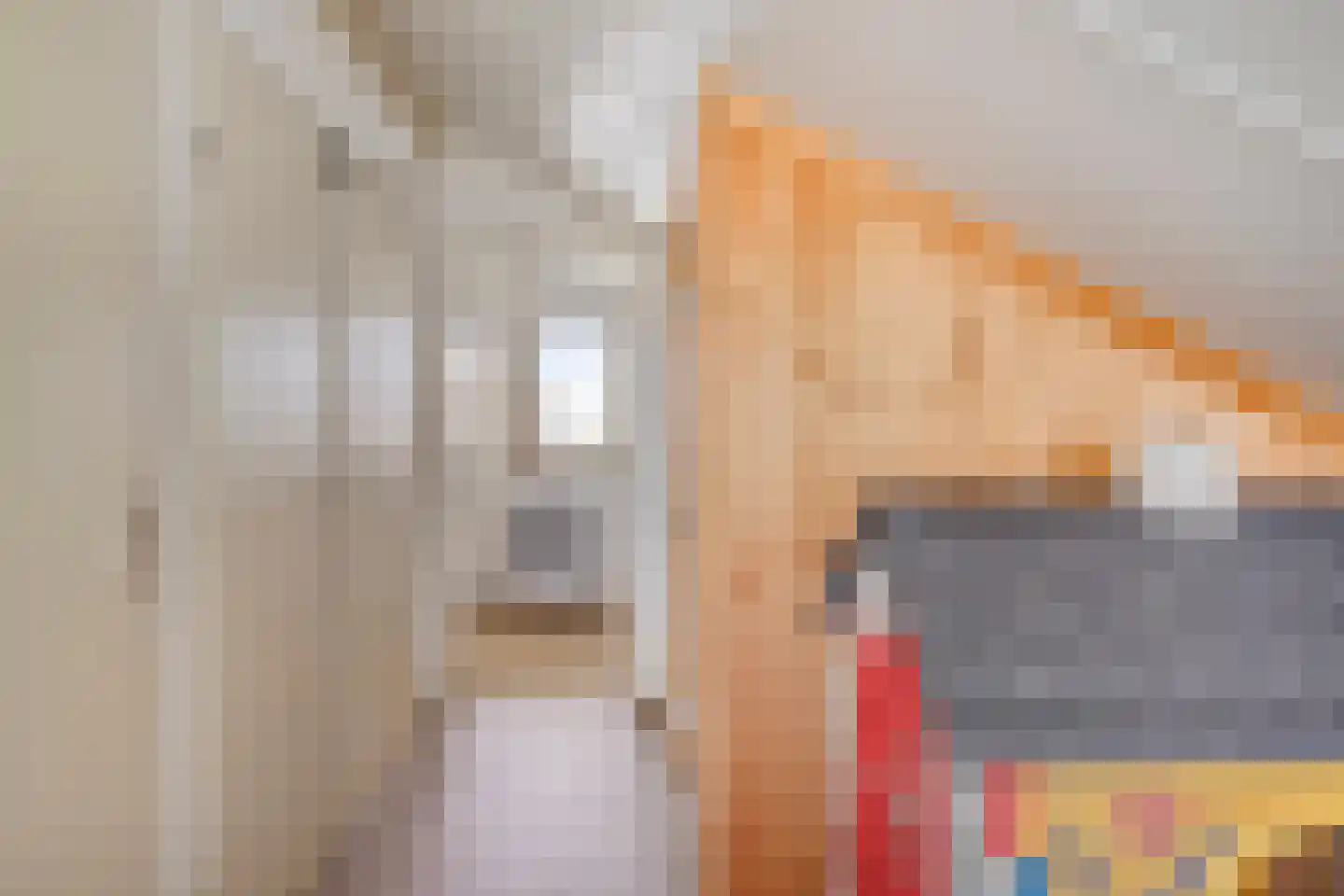 Veerse Meerdreef 50 Kortgene thumbnail 19