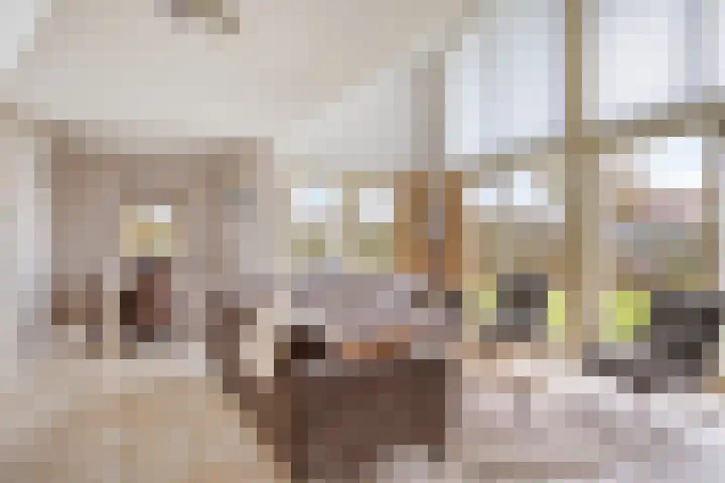 Veerse Meerdreef 50 Kortgene foto 3