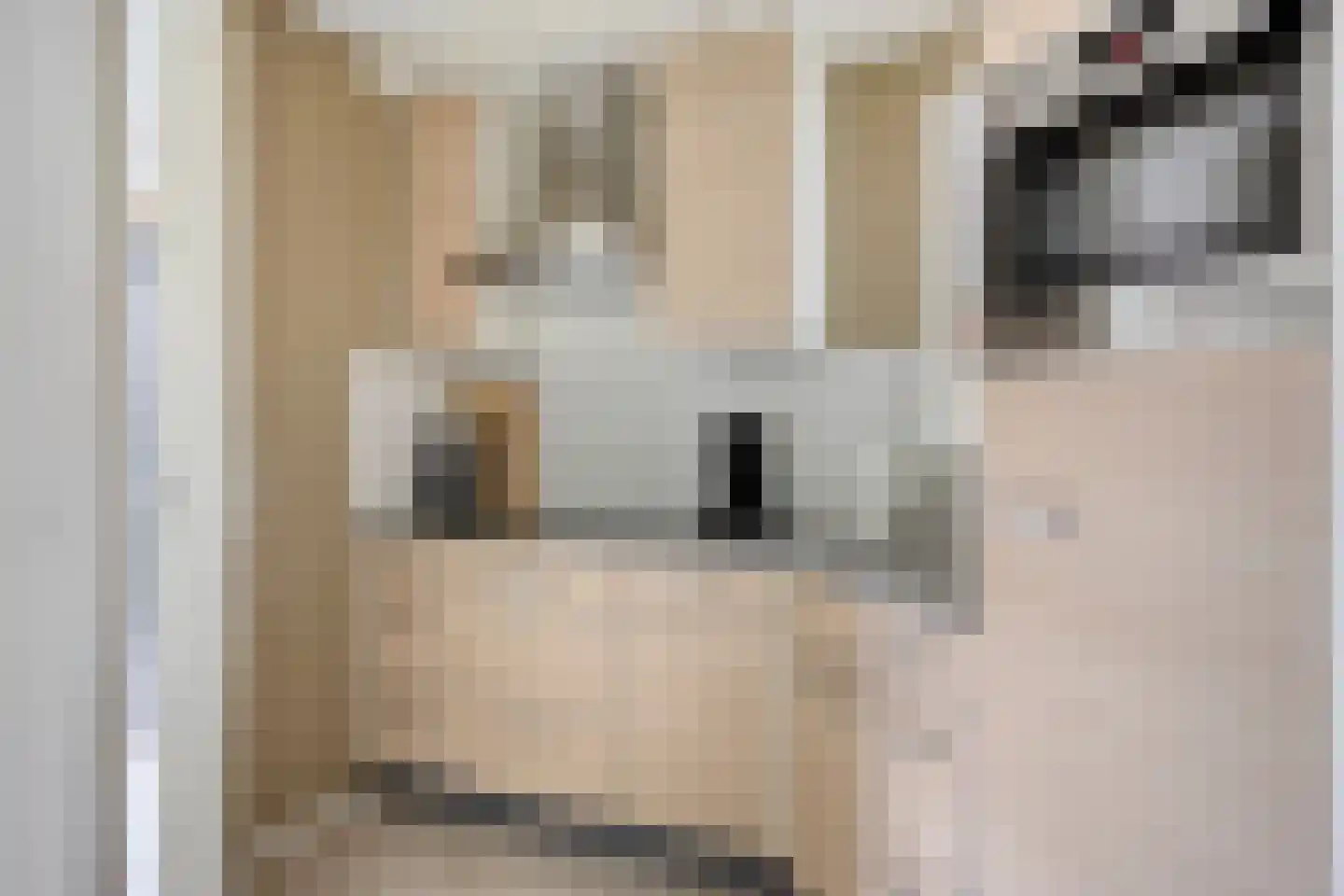 Veerse Meerdreef 50 Kortgene thumbnail 4