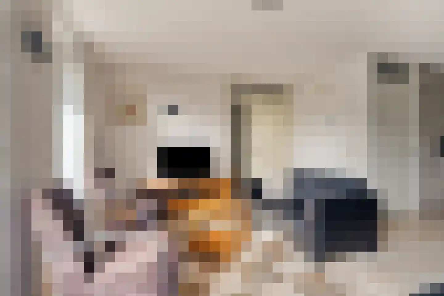 Veerse Meerdreef 7 Kortgene thumbnail 13