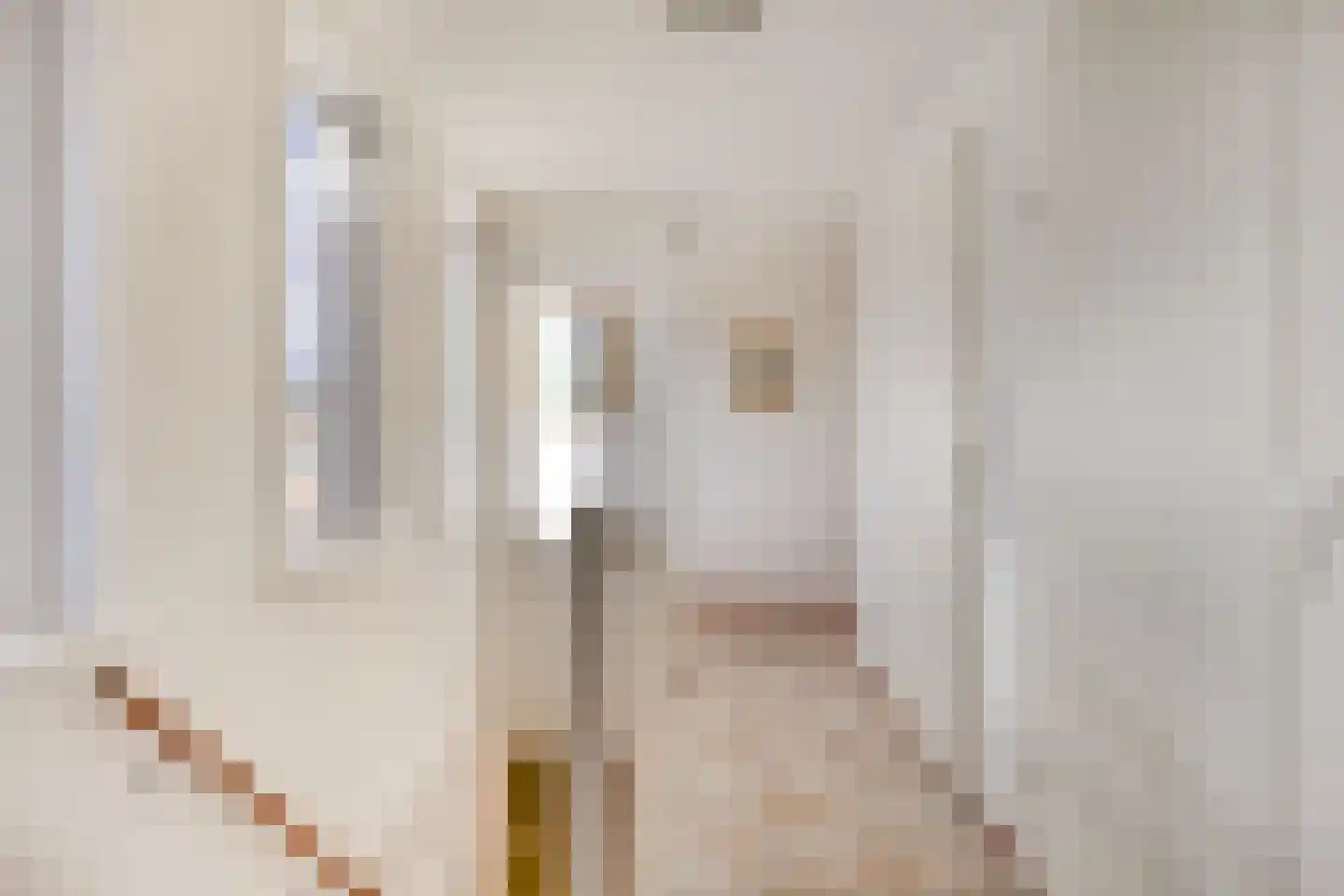 Veerse Meerdreef 7 Kortgene thumbnail 23