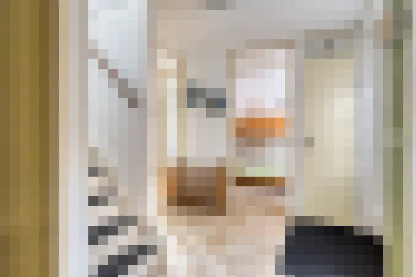 Veerse Meerdreef 7 Kortgene thumbnail 9