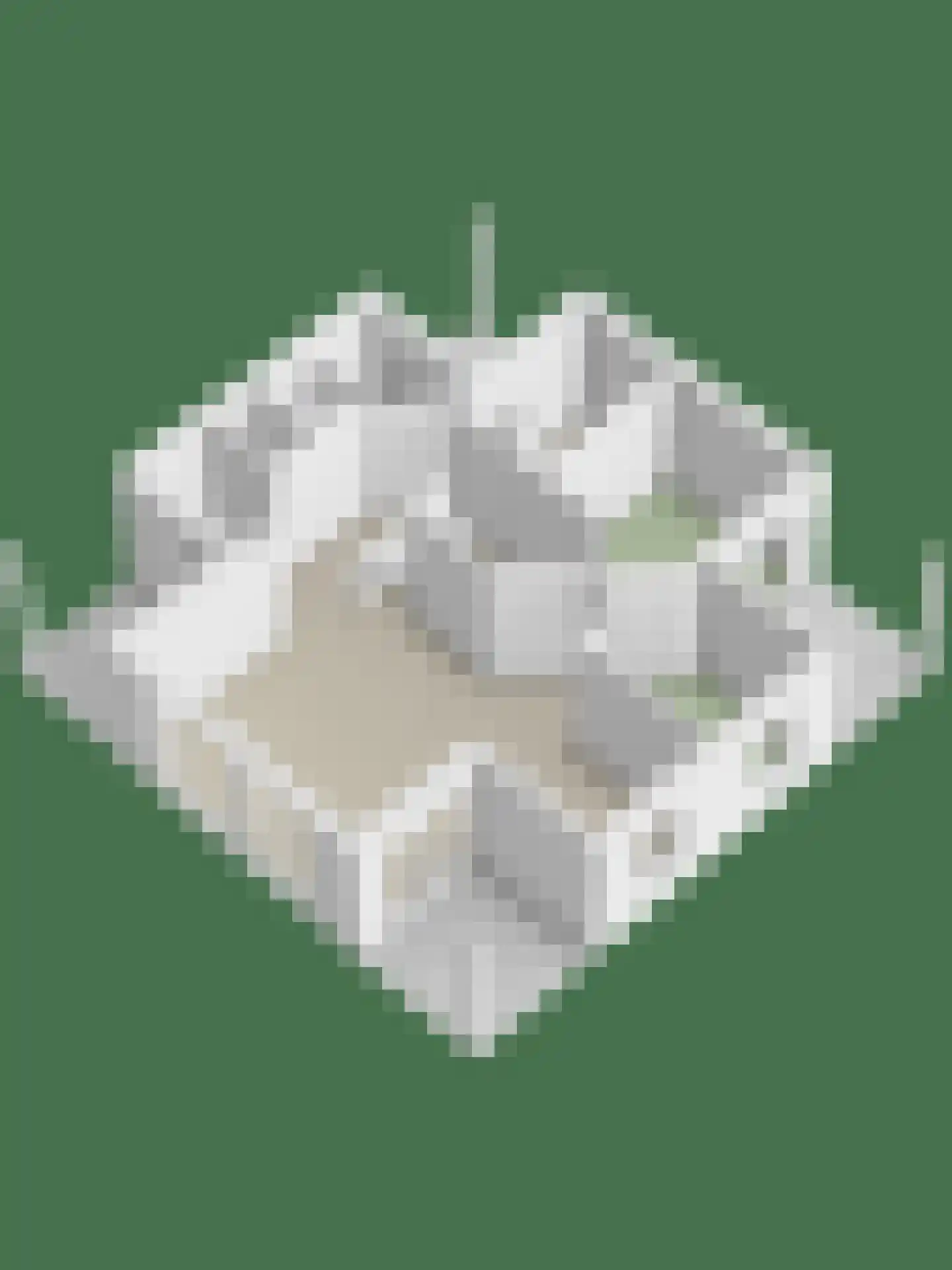 Veerse Meerdreef 72 Kortgene thumbnail 45