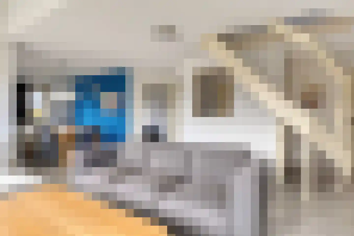 Veerse Meerdreef 8 Kortgene thumbnail 13