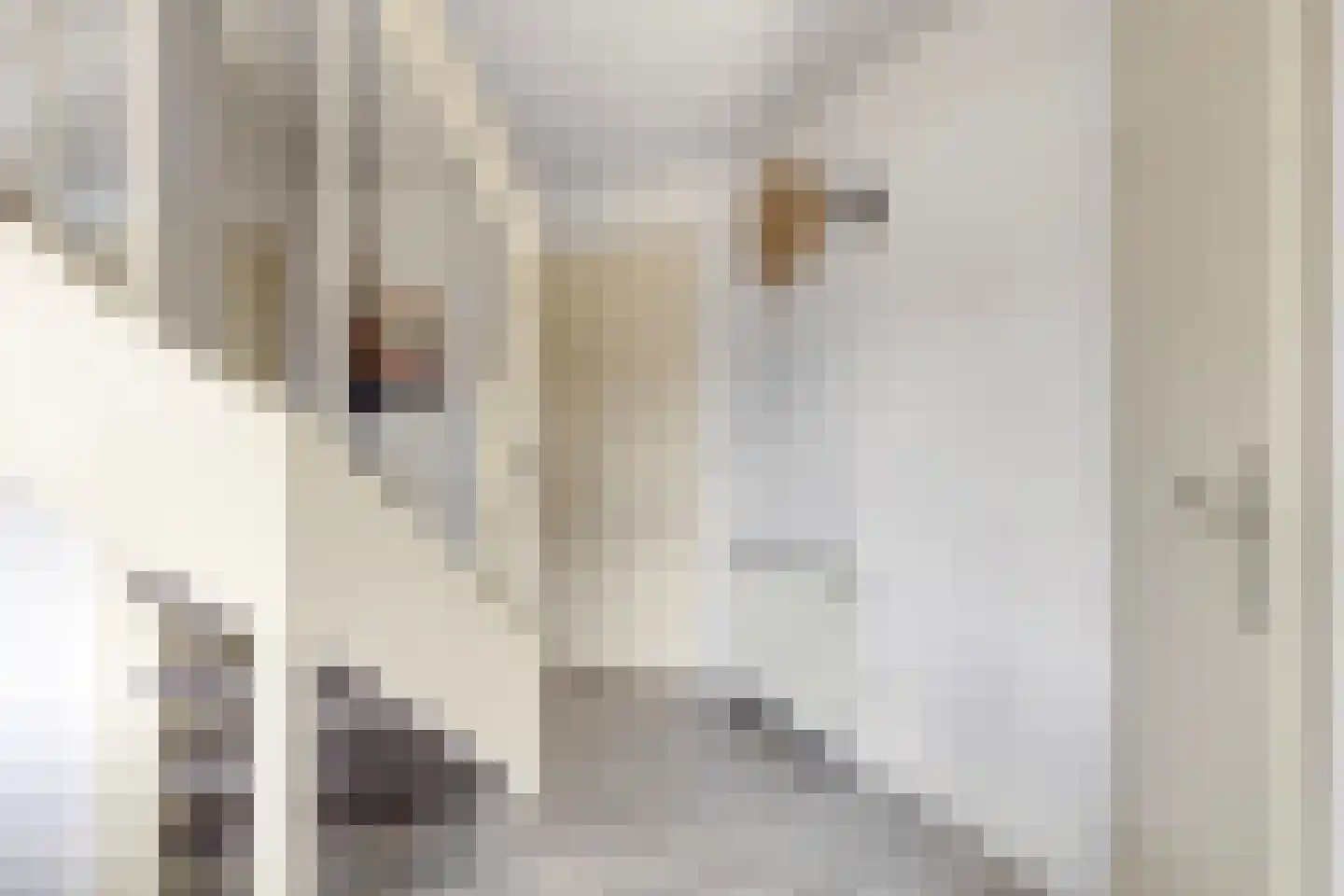 Veerse Meerdreef 8 Kortgene thumbnail 25