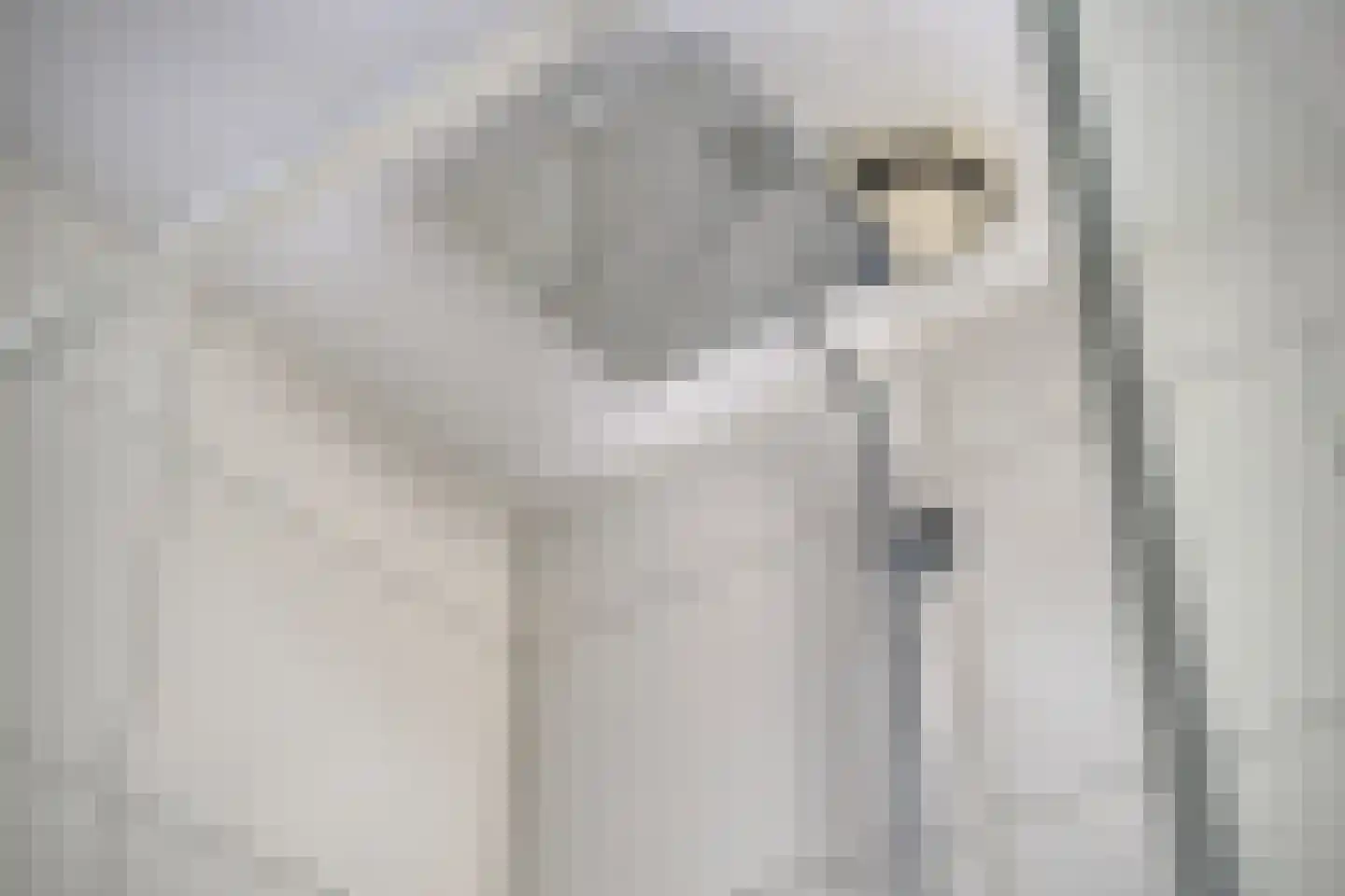 Veerse Meerdreef 8 Kortgene thumbnail 27