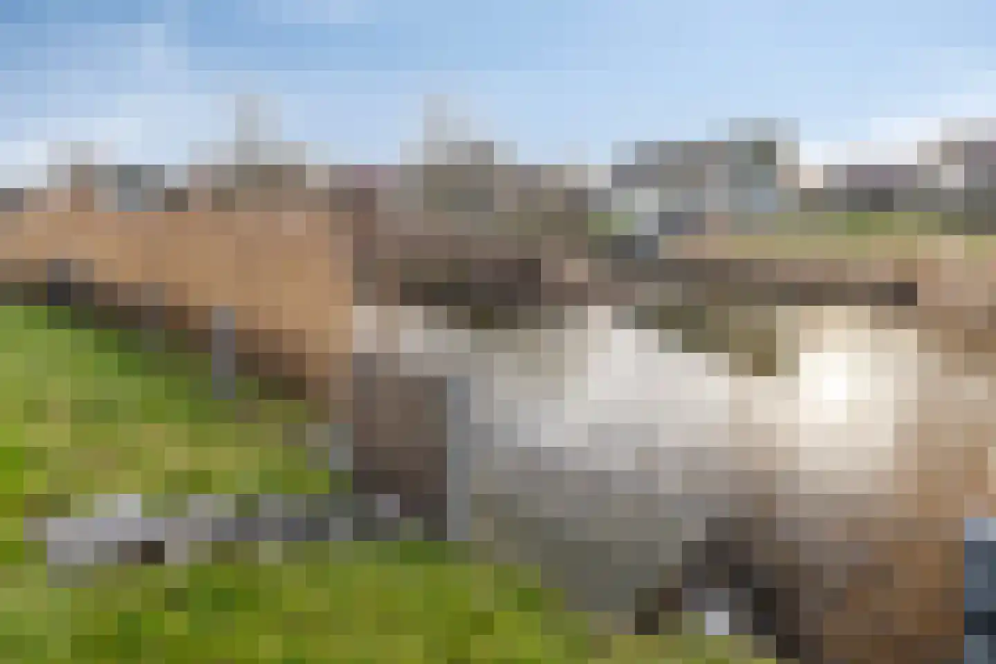 Veerse Meerdreef 8 Kortgene thumbnail 43