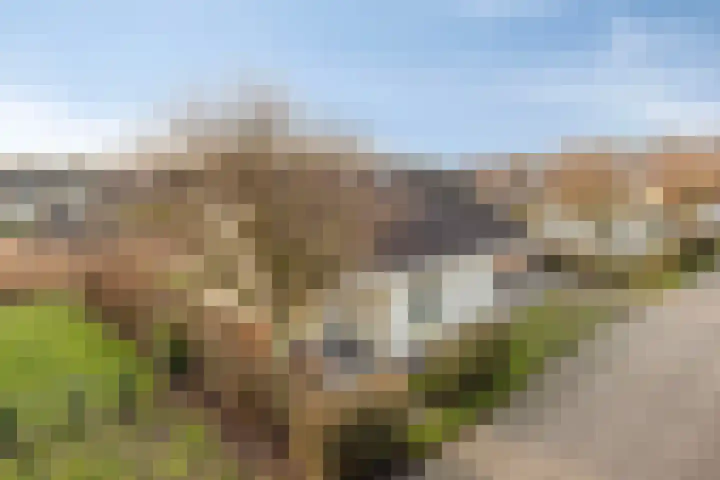 Veerse Meerdreef 8 Kortgene thumbnail 47