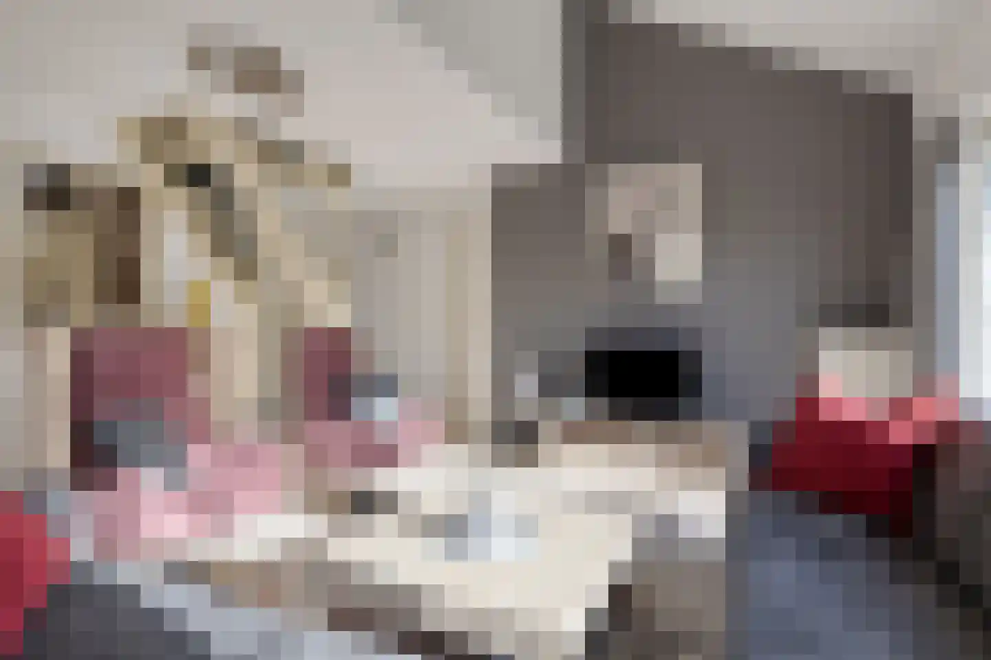 Veerse Meerdreef 84 Kortgene thumbnail 10