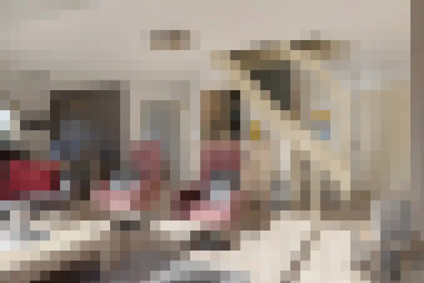 Veerse Meerdreef 84 Kortgene thumbnail 7