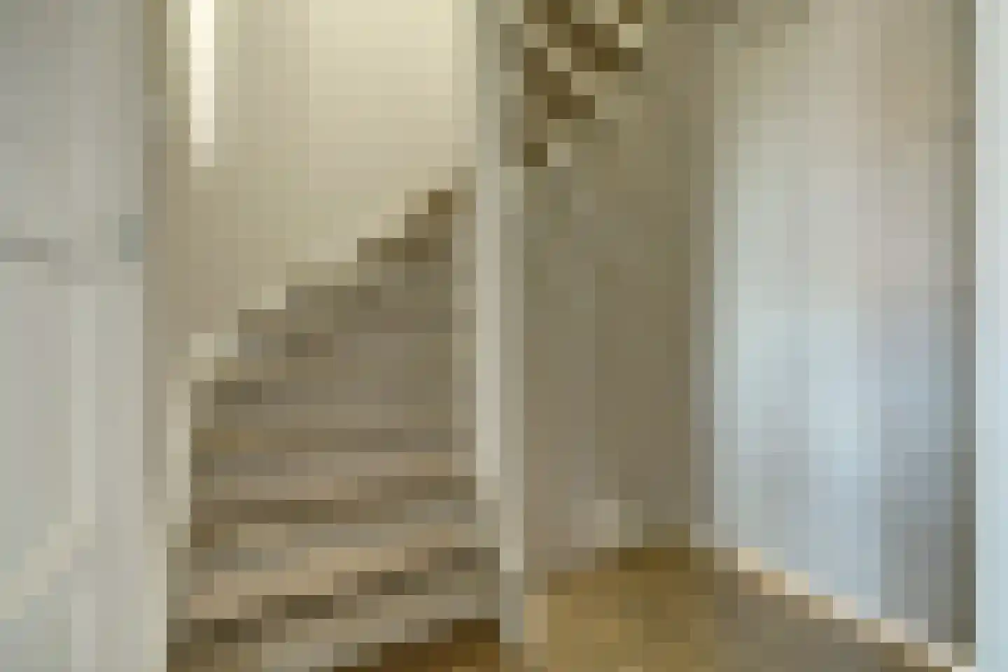 Veerse Meerstraat 13 Kortgene thumbnail 19