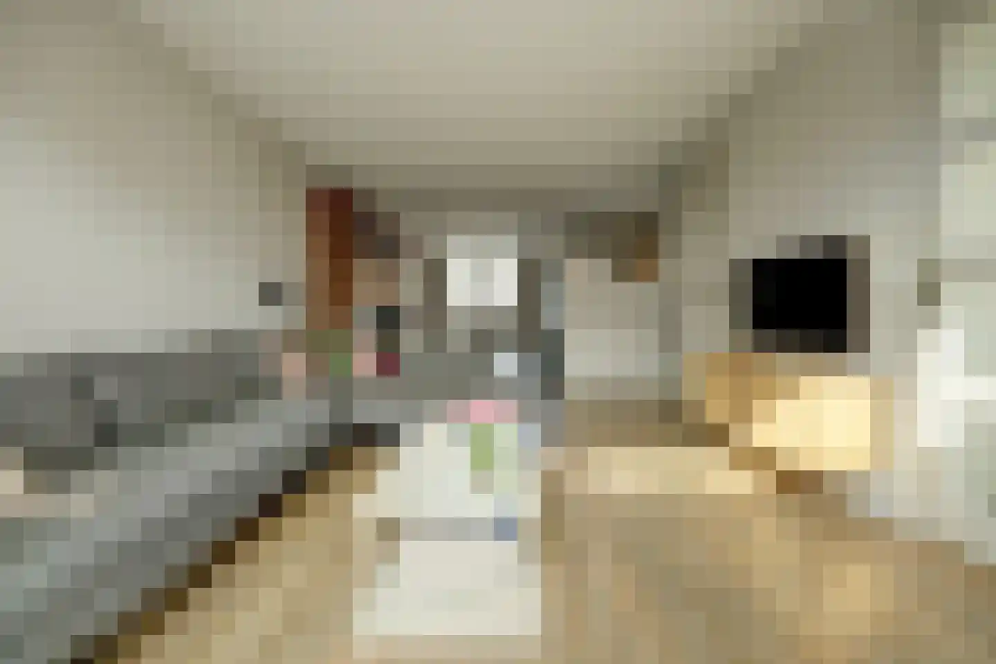 Veerse Meerstraat 13 Kortgene thumbnail 8