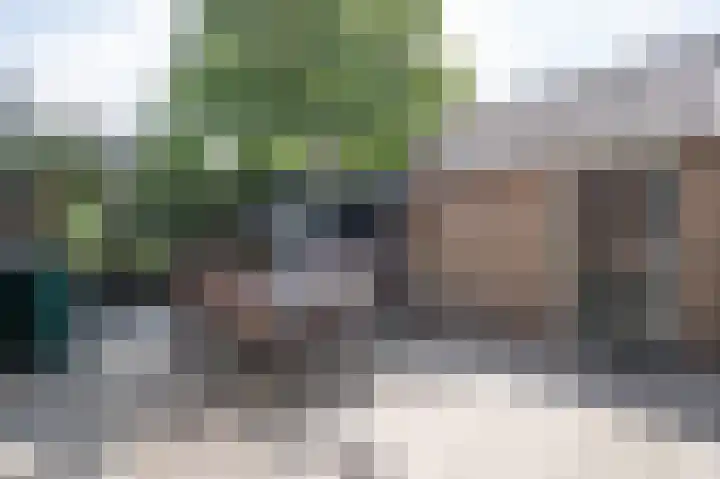 Veersedijk 16 Groot-Ammers thumbnail 30