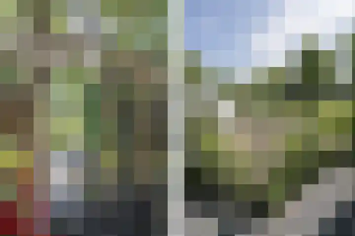 Veersedijk 16 Groot-Ammers thumbnail 33