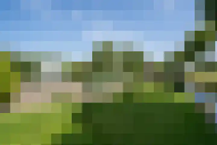 Veersedijk 16 Groot-Ammers thumbnail 34