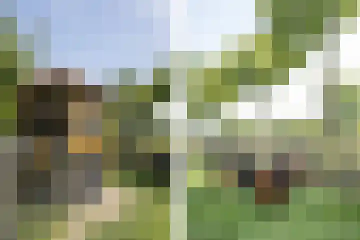 Veersedijk 16 Groot-Ammers thumbnail 36