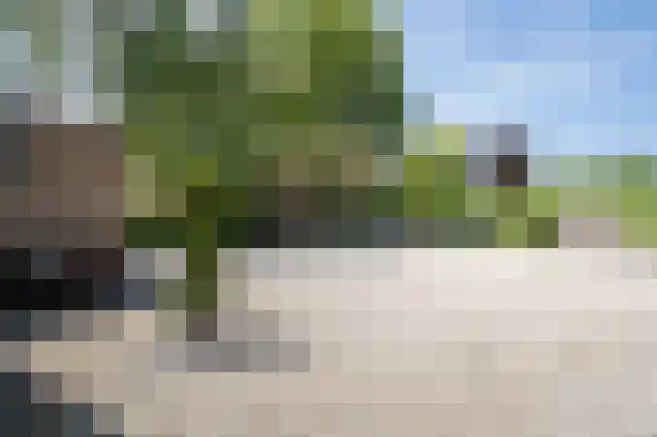 Veersedijk 16 Groot-Ammers thumbnail 38