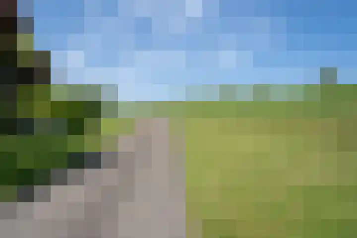Veersedijk 16 Groot-Ammers thumbnail 39