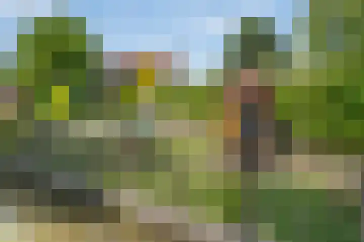 Veersedijk 16 Groot-Ammers thumbnail 4