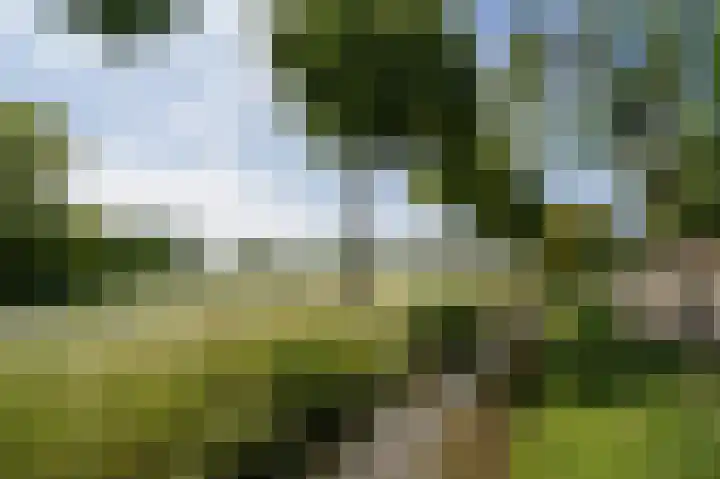 Veersedijk 16 Groot-Ammers thumbnail 40