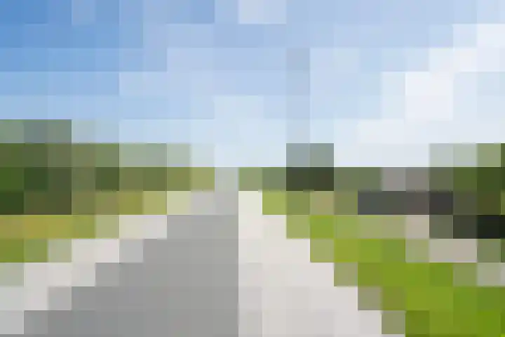 Veersedijk 16 Groot-Ammers thumbnail 41