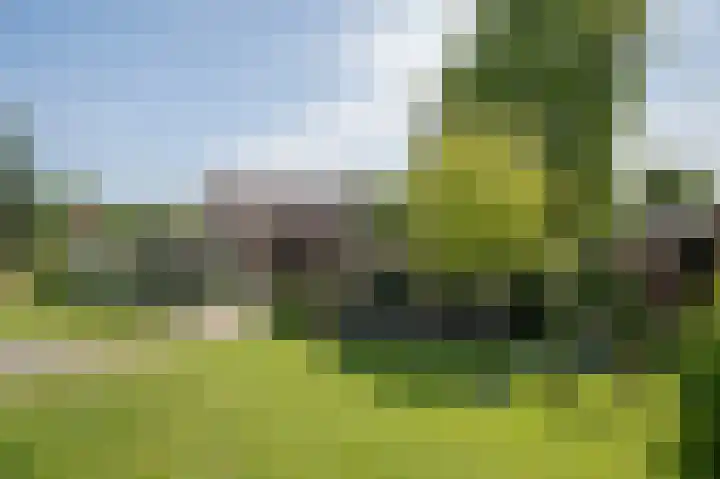 Veersedijk 16 Groot-Ammers thumbnail 5