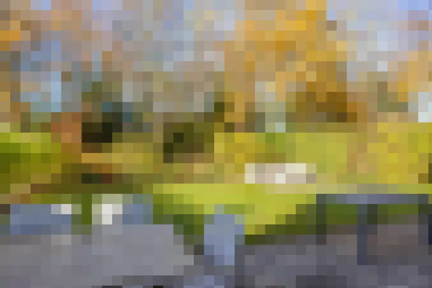 Veersegat 30 Kamperland thumbnail 4