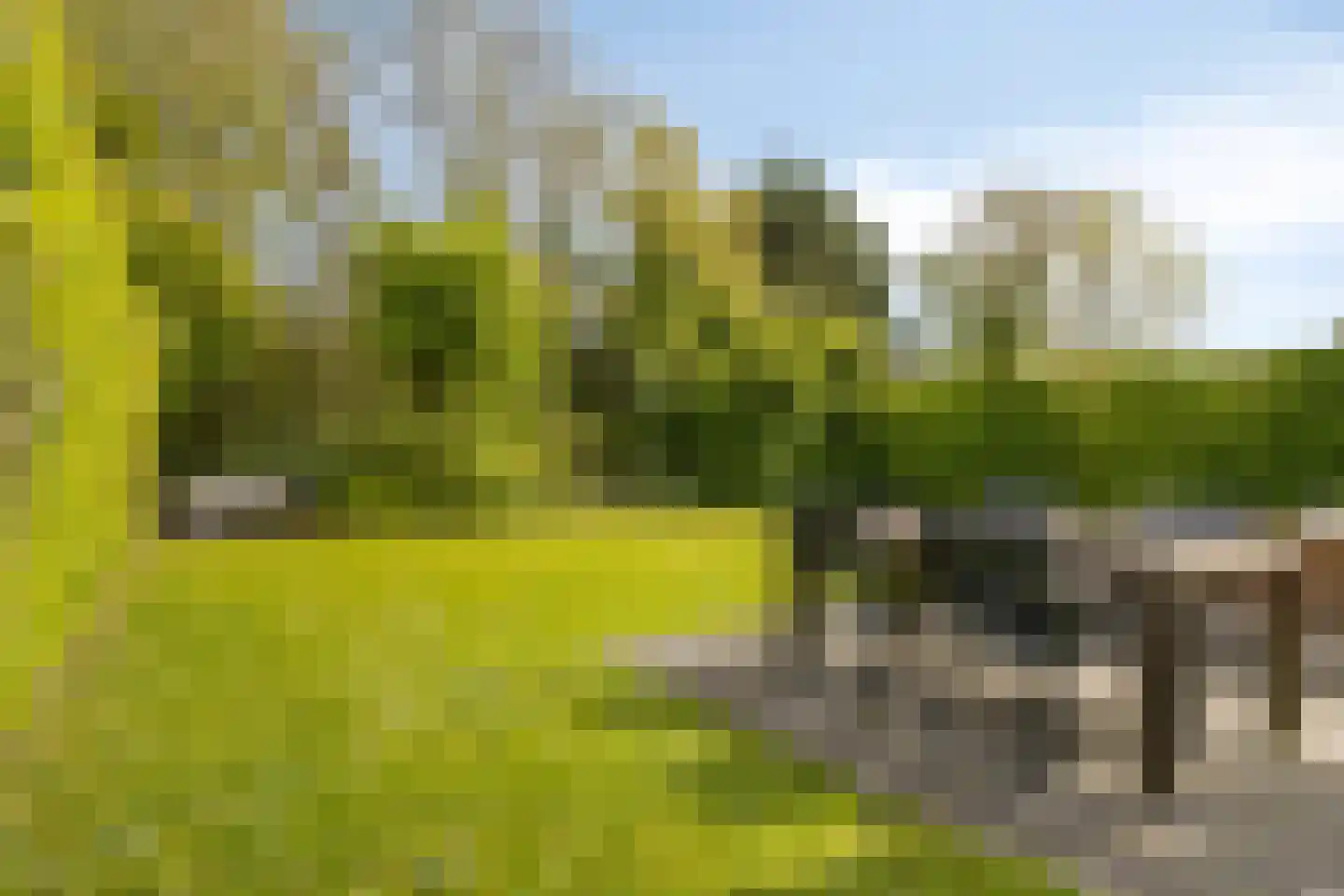 Veersegat 33 Kamperland thumbnail 29