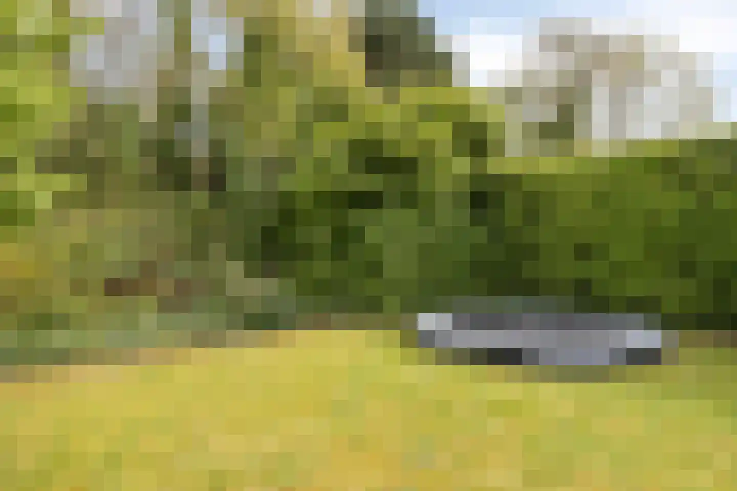 Veersegat 33 Kamperland thumbnail 31
