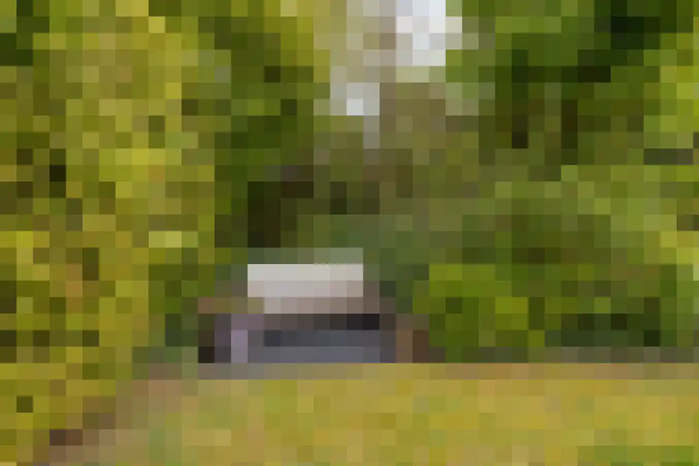 Veersegat 33 Kamperland thumbnail 32