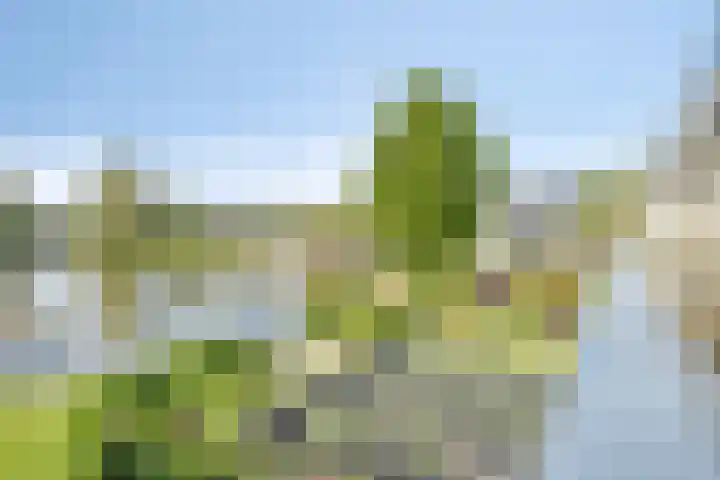 Veersemeer 11 Purmerend thumbnail 10
