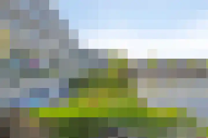 Veersemeer 11 Purmerend thumbnail 11