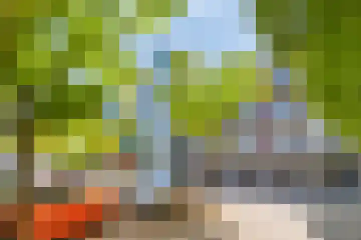 Veersemeer 11 Purmerend thumbnail 31