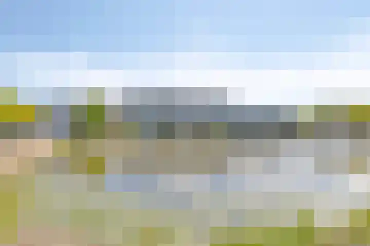 Veersemeer 11 Purmerend thumbnail 32