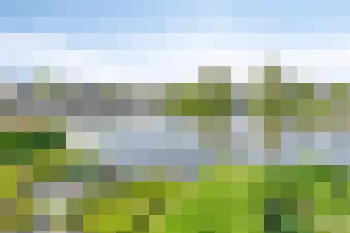 Veersemeer 11 Purmerend thumbnail 6