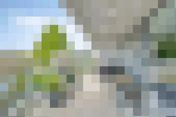 Veersemeer 11 Purmerend thumbnail 9