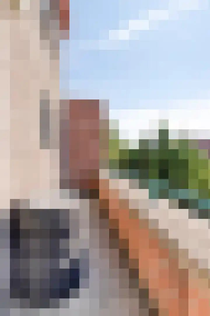 Veersemeer 27 Barendrecht thumbnail 28